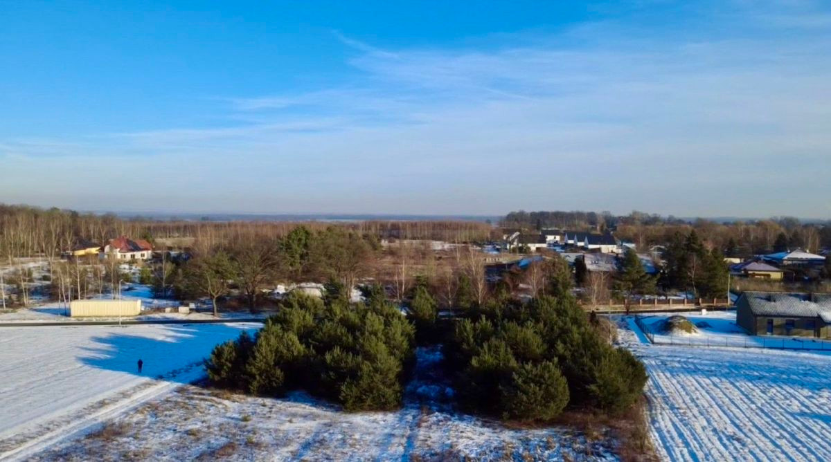 Wz/1455 m² lub 3000 m²/Bez Prowizji - Widok 3