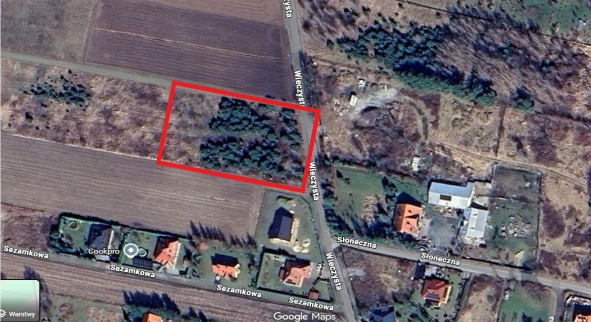 Wz/1455 m² lub 3000 m²/Bez Prowizji - Widok 2