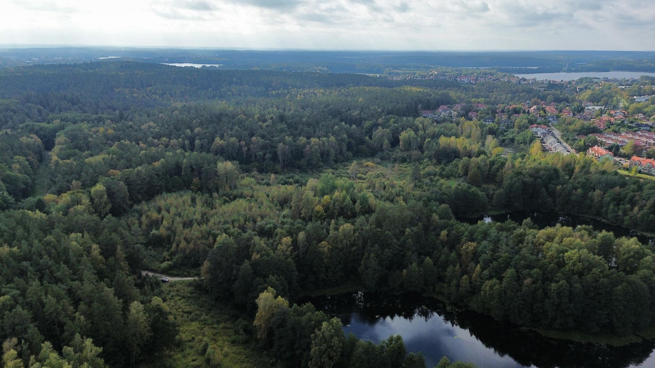 gratka-1003 - Widok 2