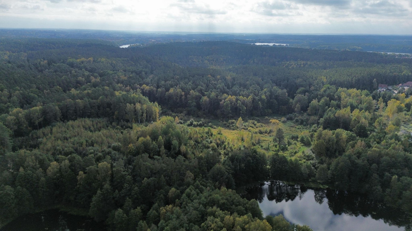 gratka-1003 - Widok 5