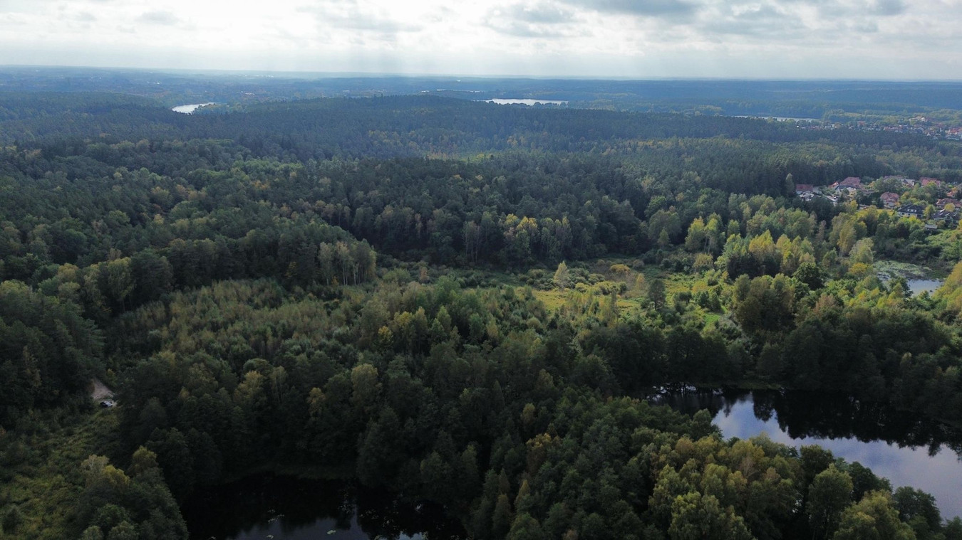 gratka-1003 - Widok 4