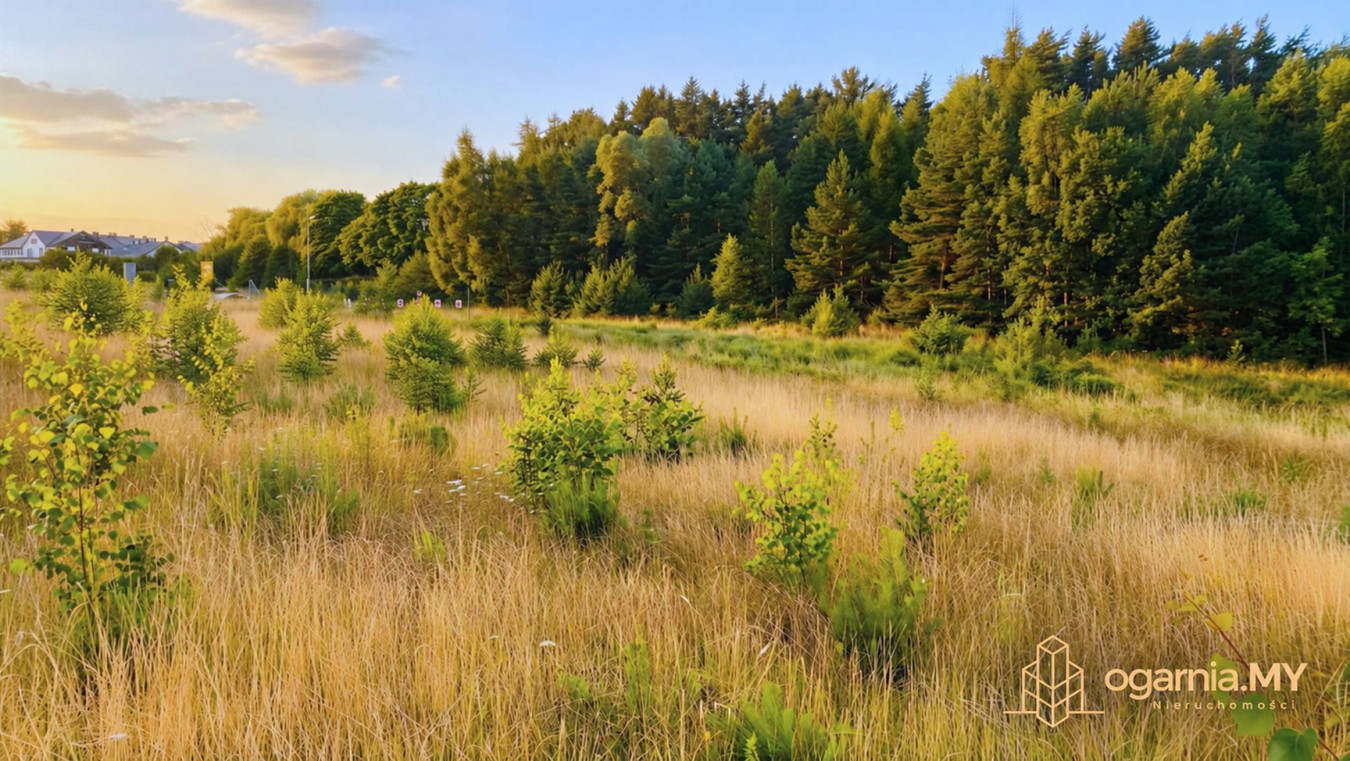 Dom – Kosakowo, Pierwoszyno - Więcej