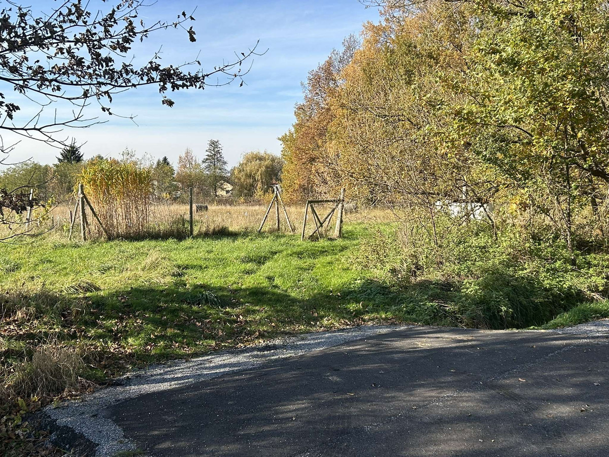 Działka budowlana 863 m² - Pogwizdów pow. Cieszyn Spokojna okolica - Widok 2