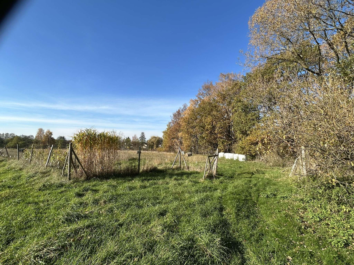 Działka budowlana 863 m² - Pogwizdów pow. Cieszyn Spokojna okolica - Widok 3