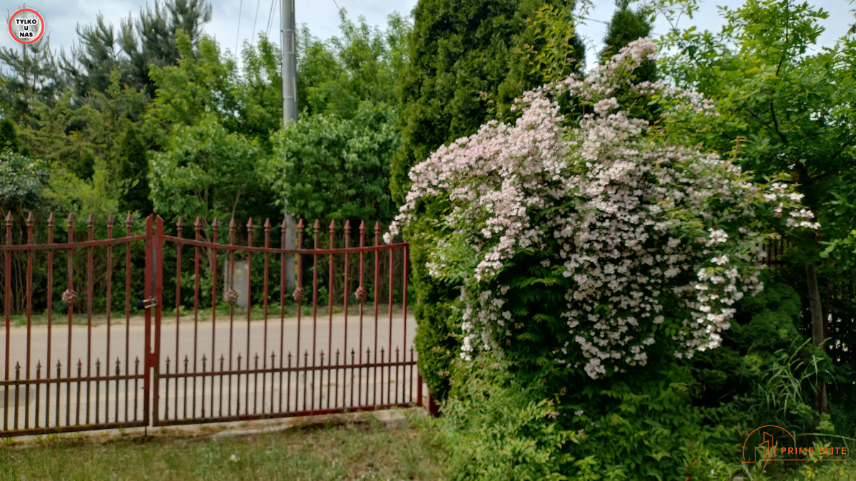 domek weekendowy / 1 h od Wawy / rz. Wkra - Widok 2