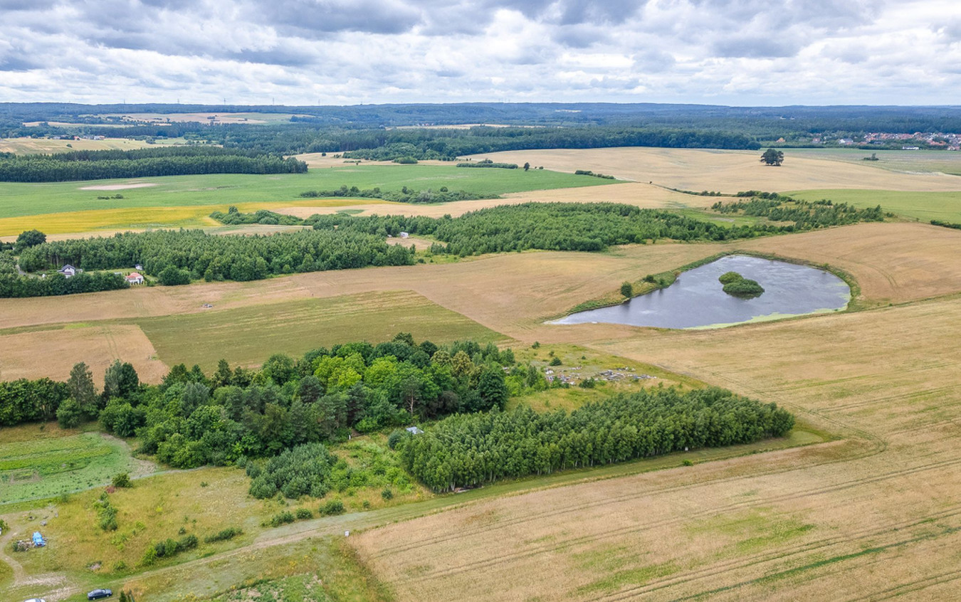 DZIAŁKA OTWARTA 14.10 | Gołębiewo | cisza, przestrzeń i natura - Więcej