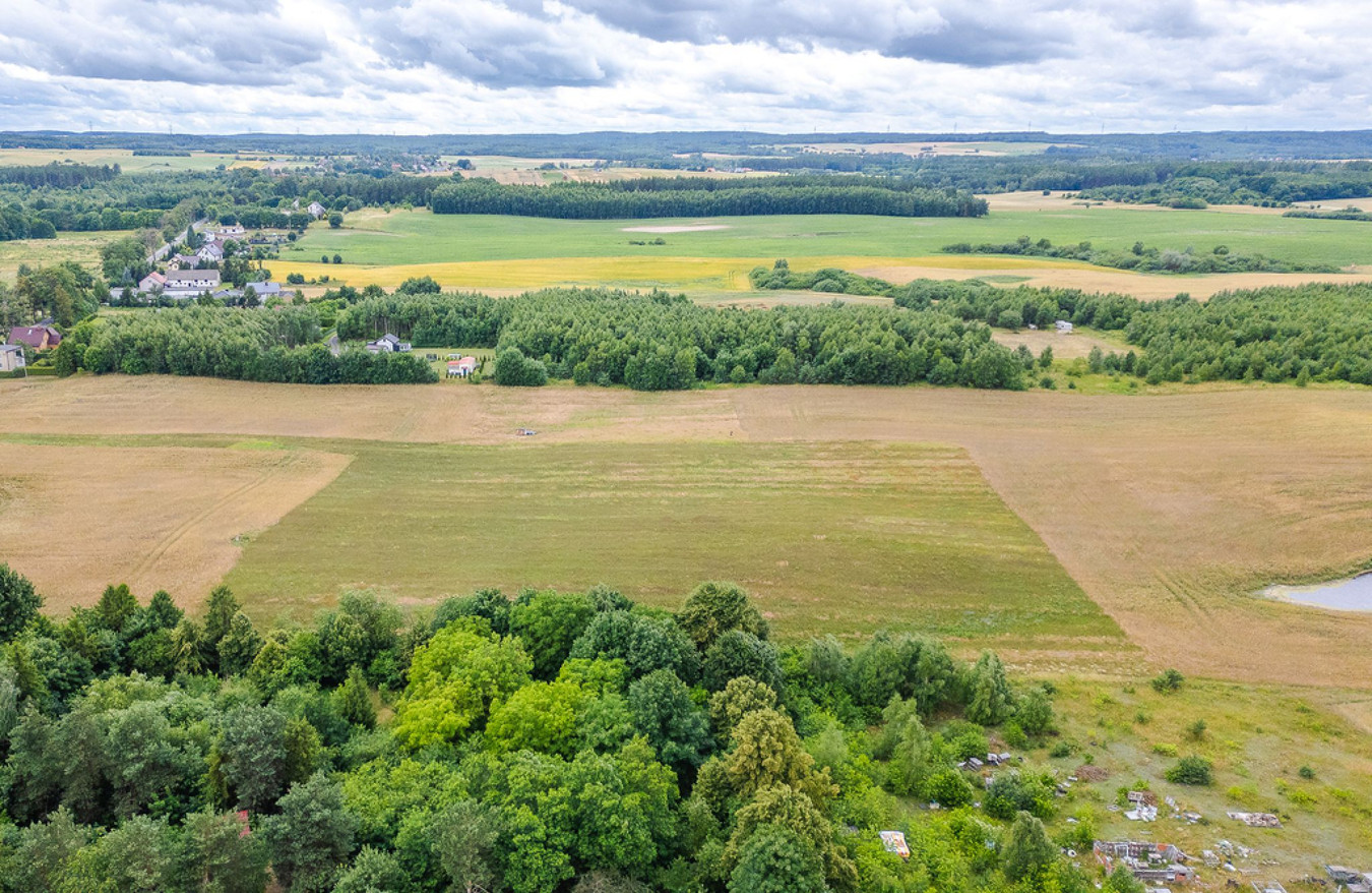 DZIAŁKA OTWARTA 14.10 | Gołębiewo | cisza, przestrzeń i natura - Widok 5