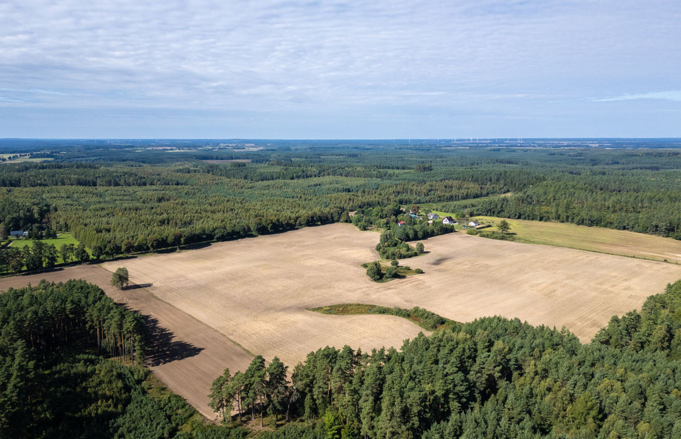 WYJĄTKOWA | DUŻA DZIAŁKA SIEDLISKOWA NA KASZUBACH - Widok 2