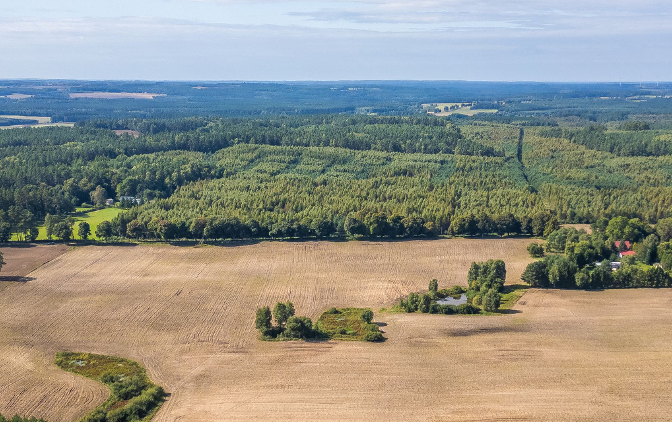 WYJĄTKOWA | DUŻA DZIAŁKA SIEDLISKOWA NA KASZUBACH - Widok 3