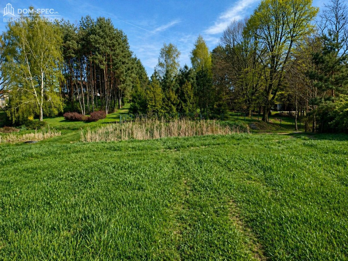 Działka budowlano-rolna w Świerklanach Górnych - Widok 3