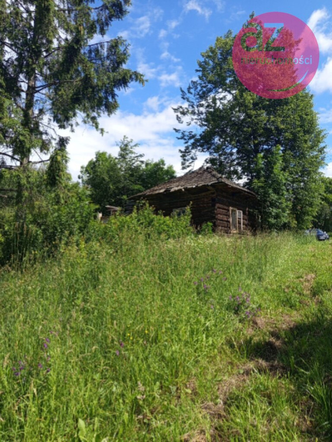 Działka budowlana 39ar w miejscowości Łużna - Widok 5
