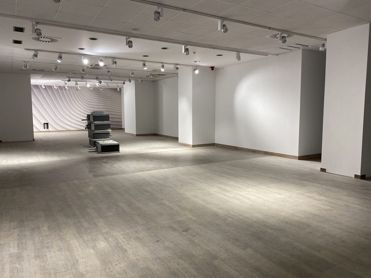 Przestronny lokal 285 m² w ścisłym centrum Olsztyna - Widok 2