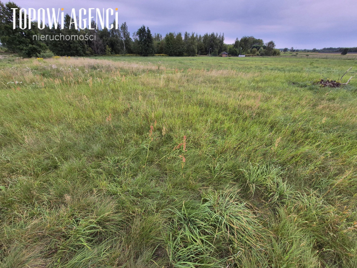 Działka budowlana 1498 m² media Wola Krakowiańska - Widok 2