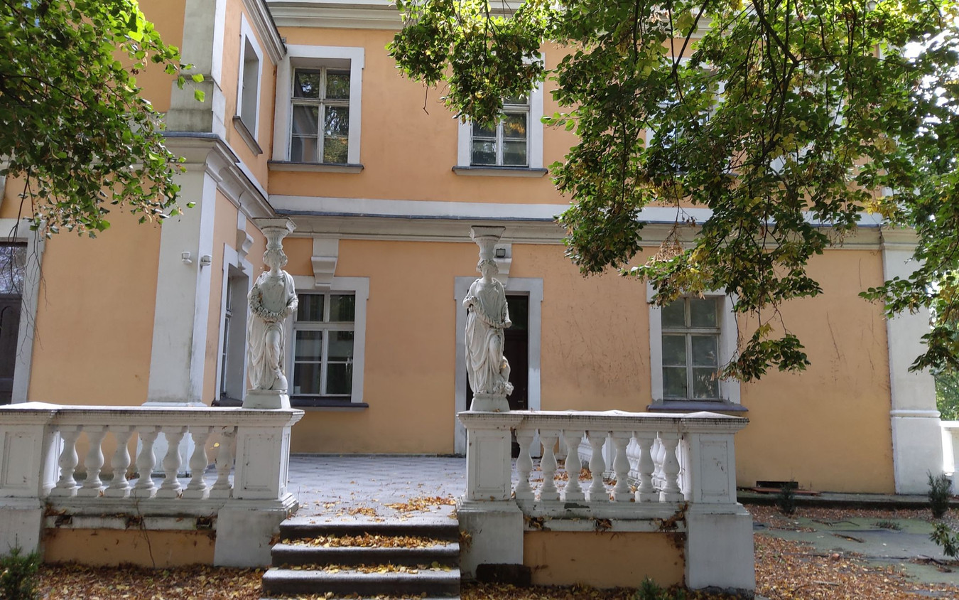 PERŁA BAROKUwWIELKOPOLSCE-historia i nowoczesność -pałac w Czempiniu k. Poznania - Widok 5