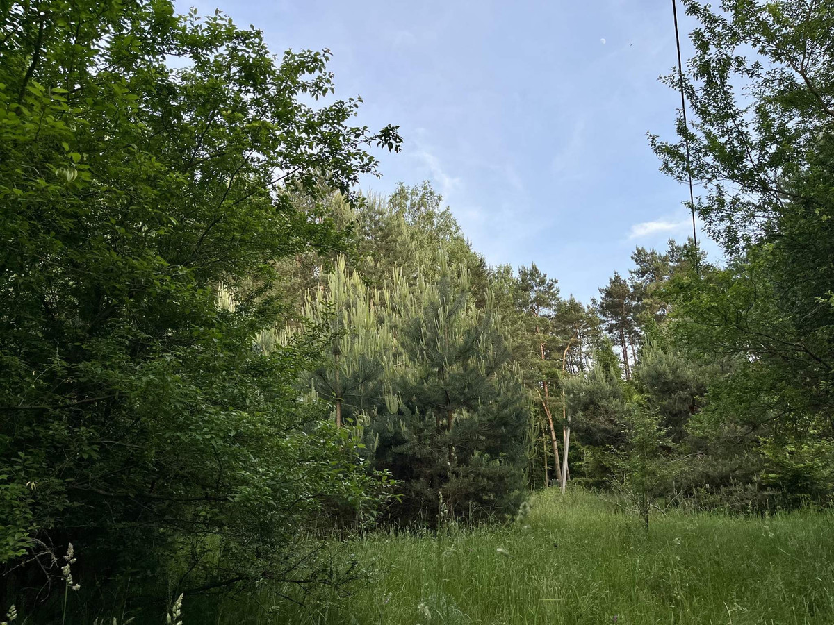 Działka w Rydzynkach na sprzedaż - Widok 5