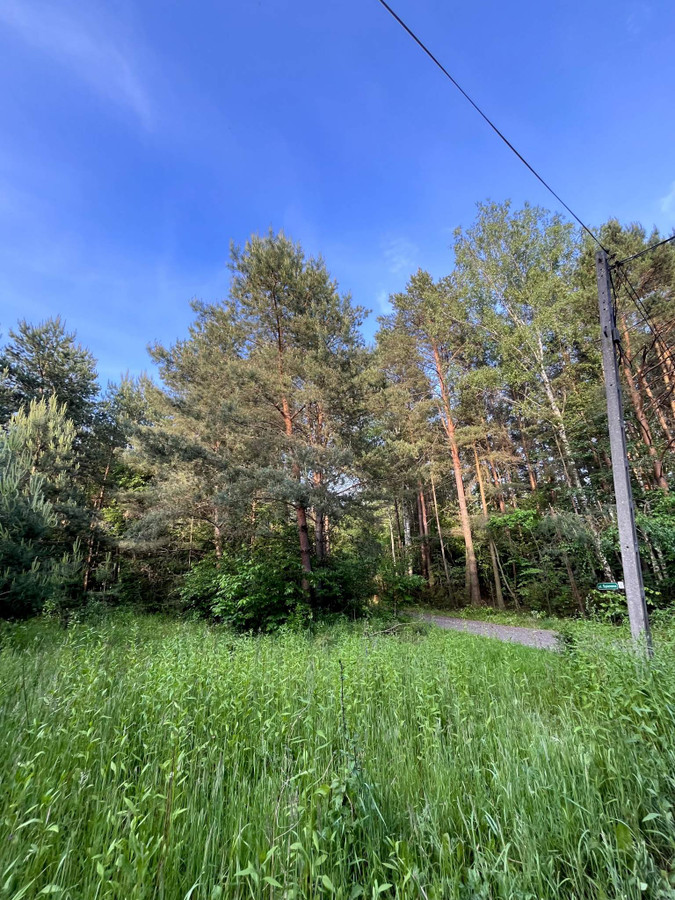 Działka w Rydzynkach na sprzedaż - Widok 2