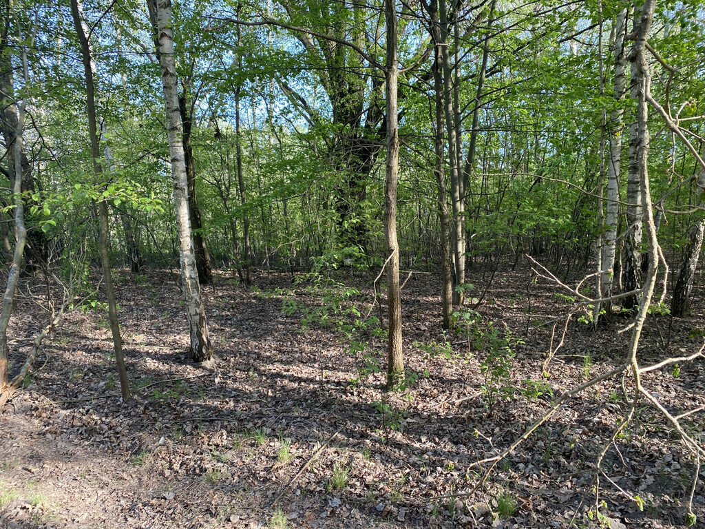 Grundstück, 2500 m²