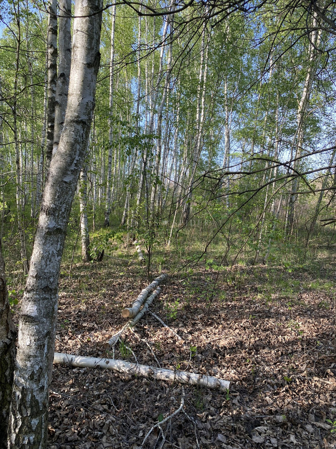 ⚡Atrakcyjna działka budowalna MNE1 w Milanówku⚡ - Widok 2
