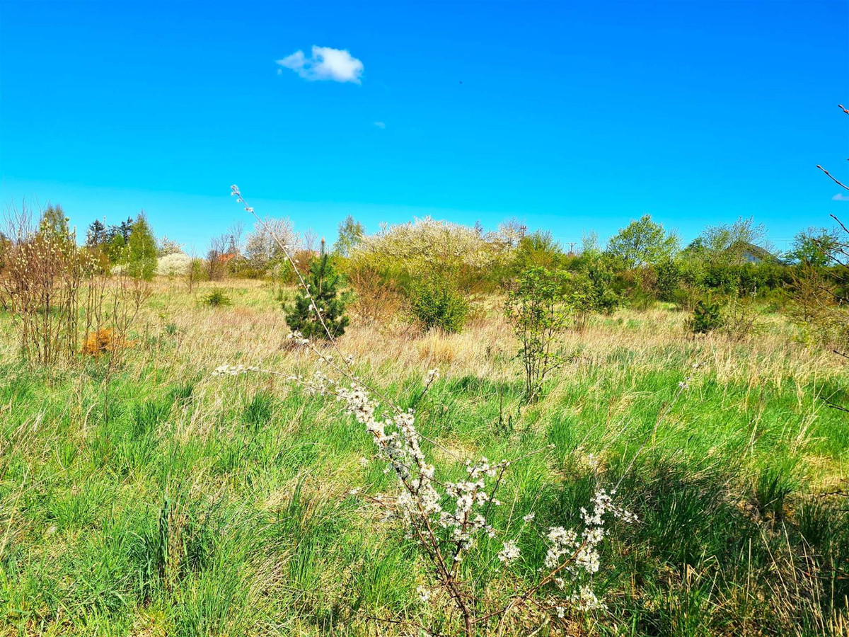 Działka budowlana z warunkami zabudowy, spokojna o - Widok 3
