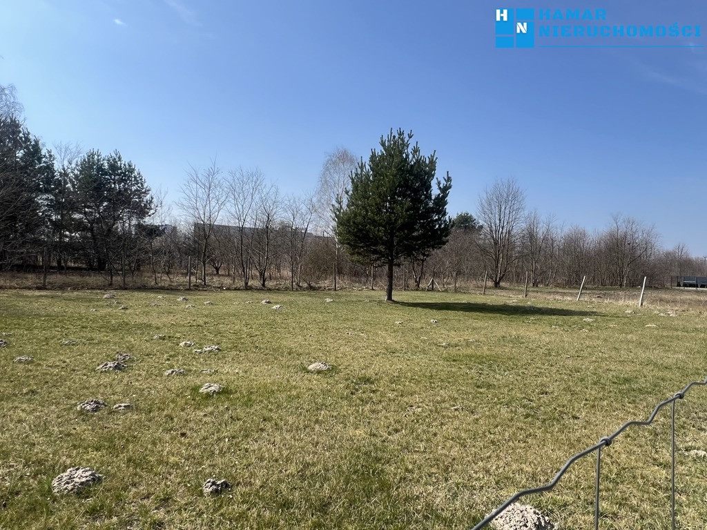 Działka 1199 m² dłuższym bokiem do drogi - Widok 4