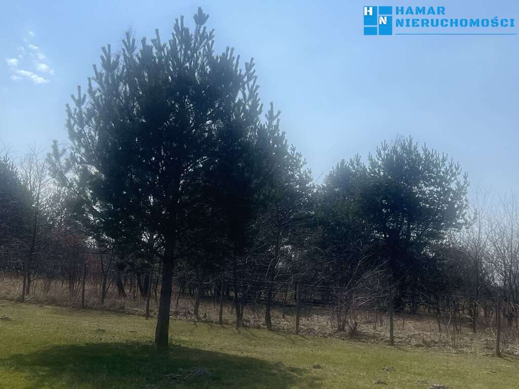 Działka 1199 m² dłuższym bokiem do drogi - Widok 2