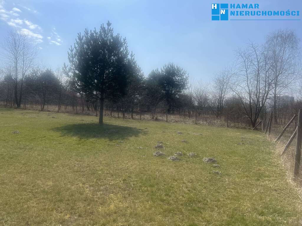 Działka 1199 m² dłuższym bokiem do drogi - Widok 3