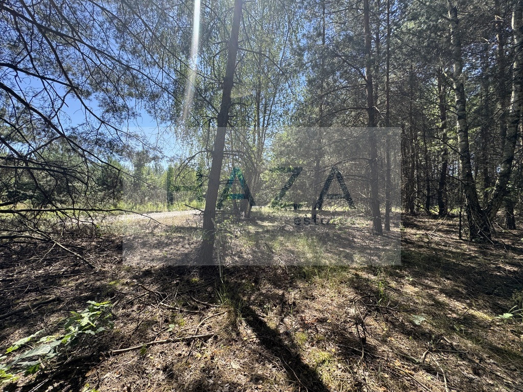 Działka budowlana 2620m² z MPZP | 20km od CH Janki - Widok 6