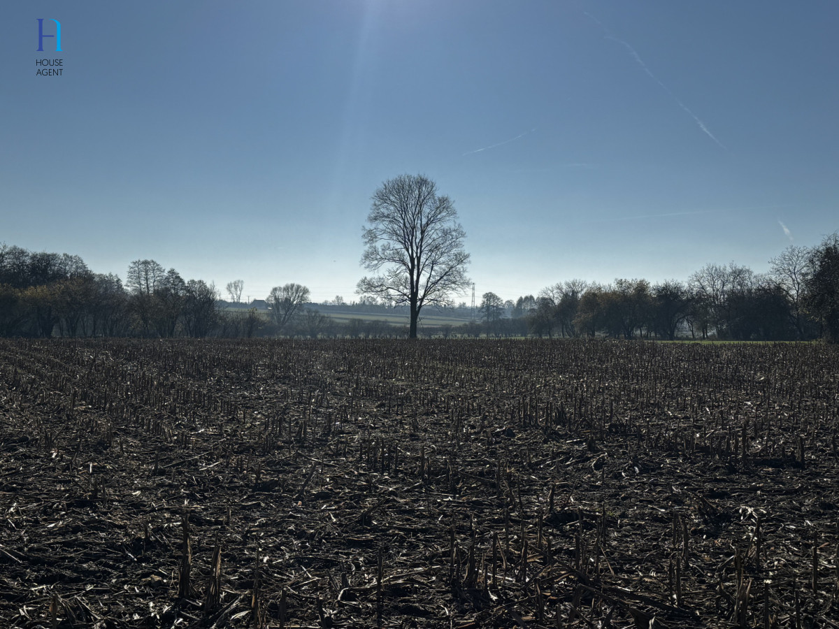 Działka pod zabudowę w gminie Rokiciny - Widok 5