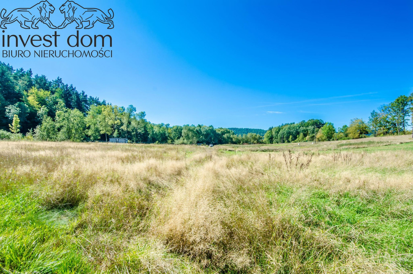 Działka nad rzeką Czarną. Beskid Niski w swojej najspokojniejszej odsłonie - Widok 5
