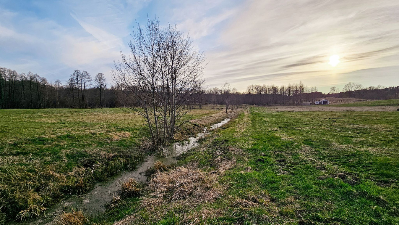 Działka budowlana objęta mpzp Giętkie Mazury - Widok 5