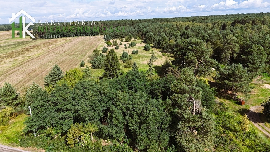gratka-50/13672/OGS - Widok 4
