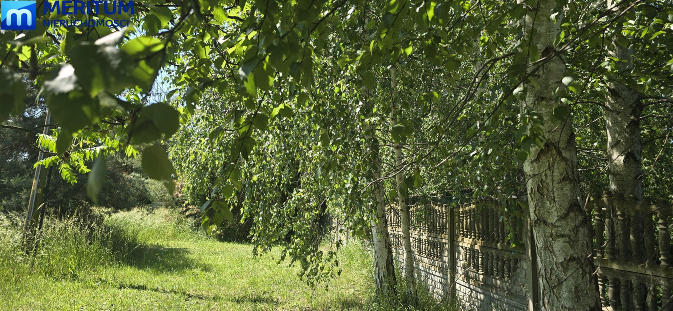 Dom – Baranów, Holendry Baranowskie - Więcej