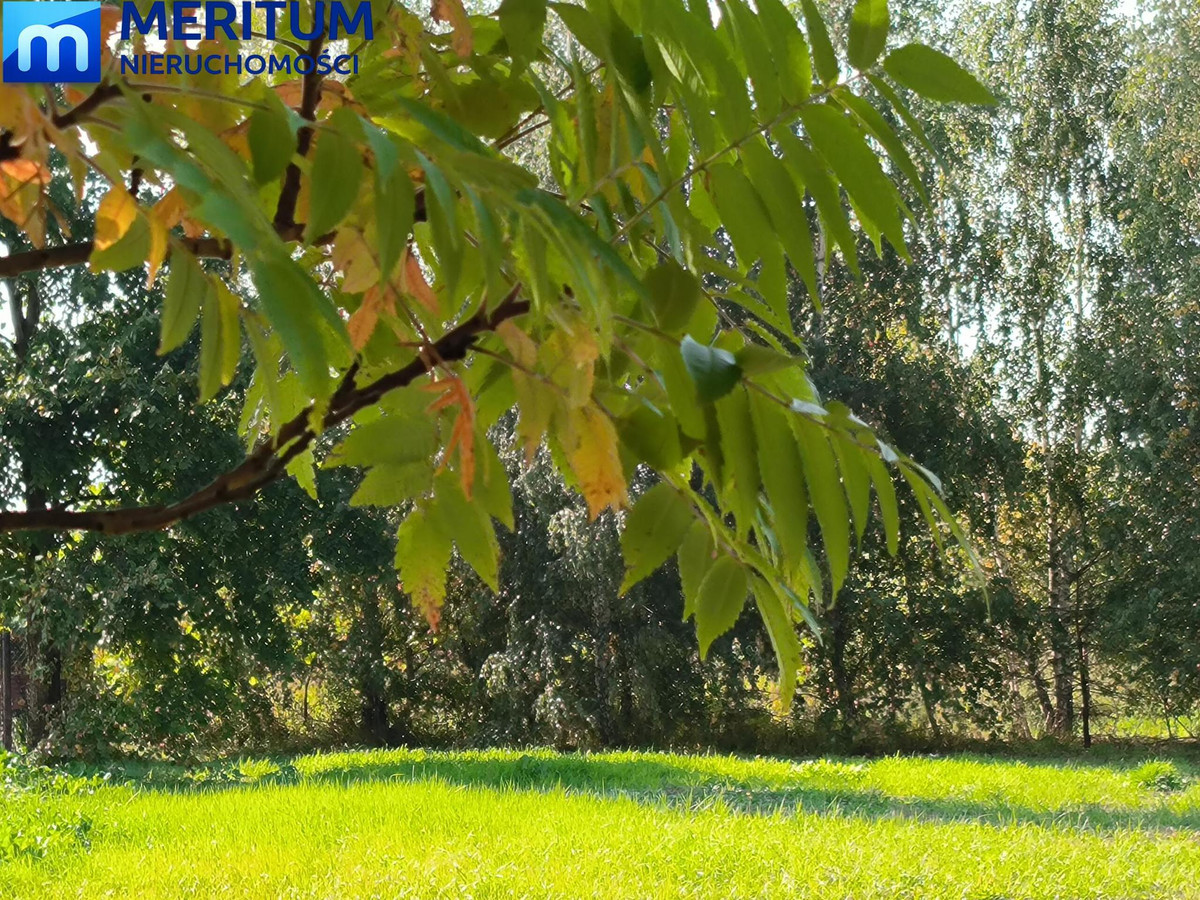 Piękna działka pod Lasem. Kajetany - Widok 5