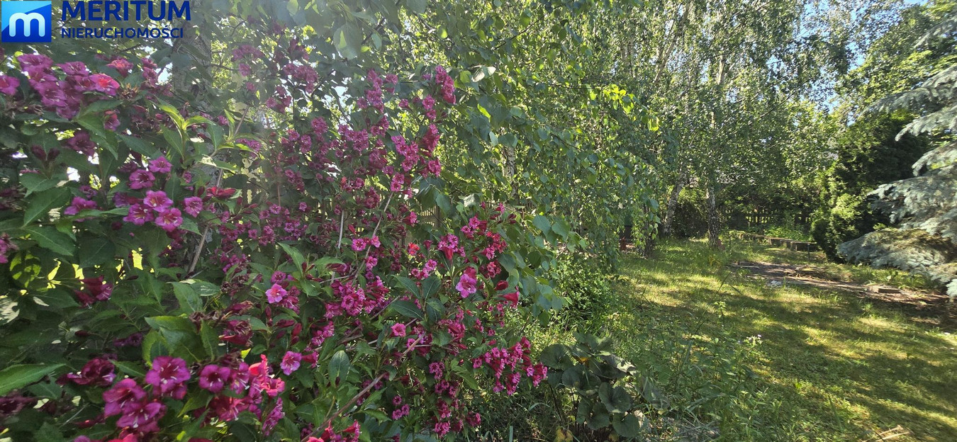 Dom – Baranów, Holendry Baranowskie - Widok 5