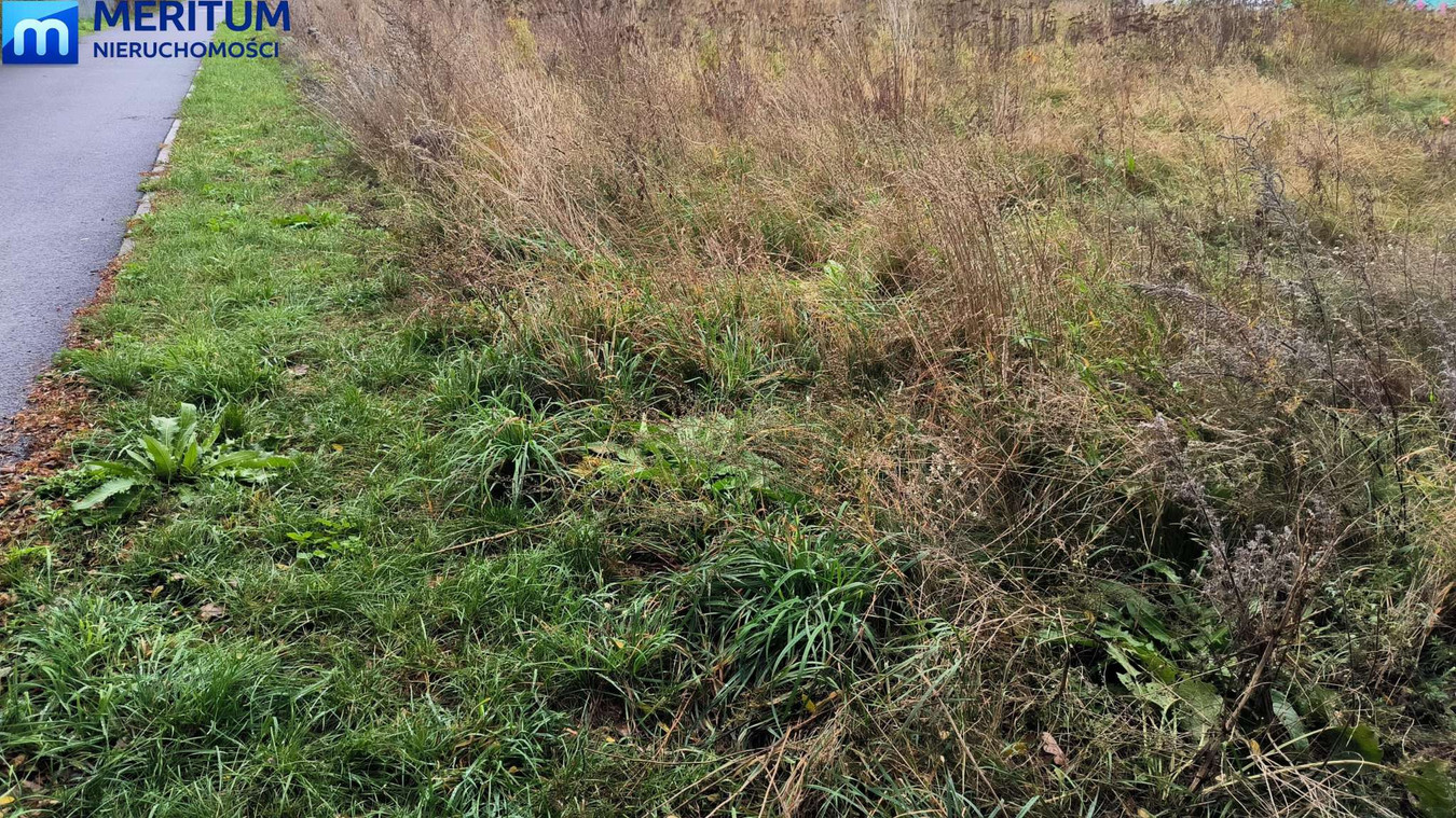 Działka inwestycyjna ok.5000 m² Osiedle Wschód - Widok 4