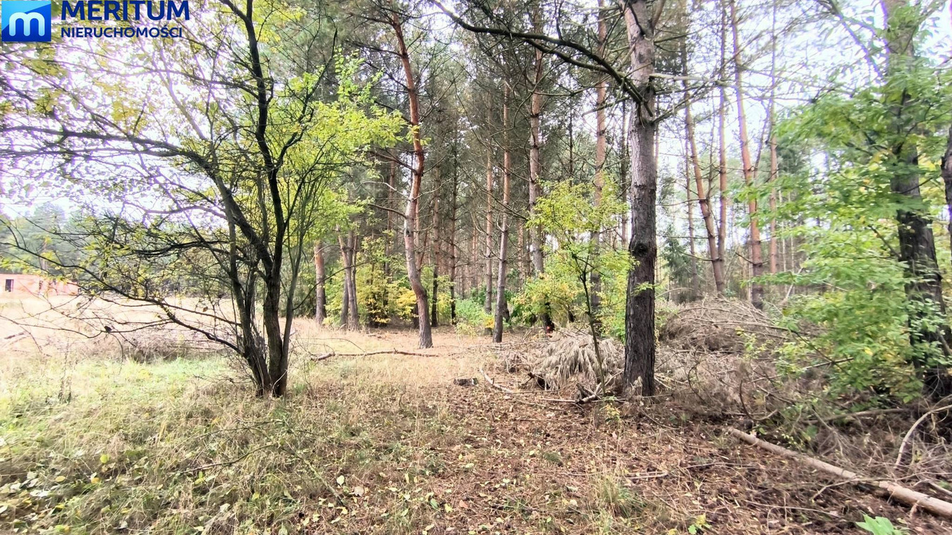 Okolice Zalewu Grzymek - Widok 5