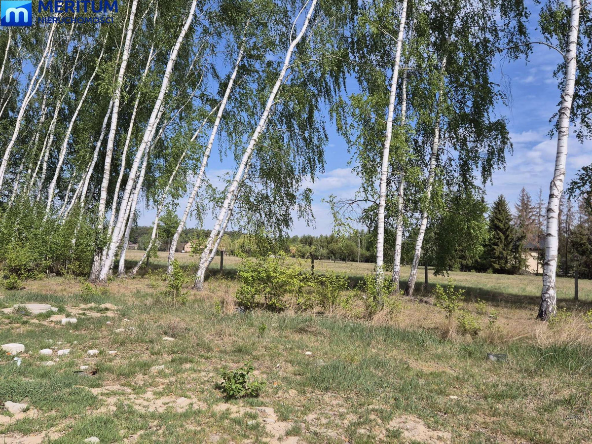 Dom – Grodzisk Mazowiecki - Więcej