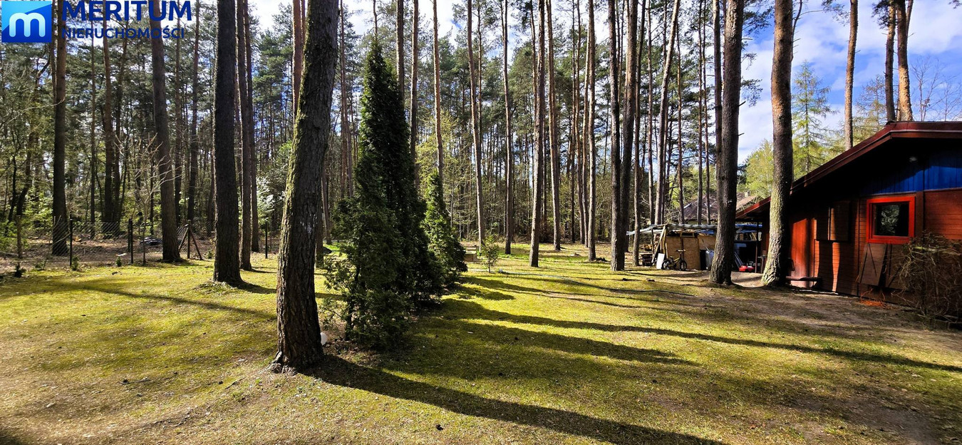 Dom – Żabia Wola, Osowiec - Więcej
