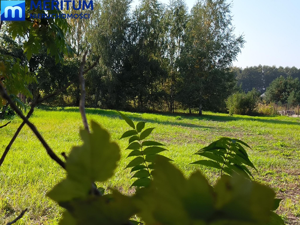 Piękna działka pod Lasem. Kajetany - Więcej