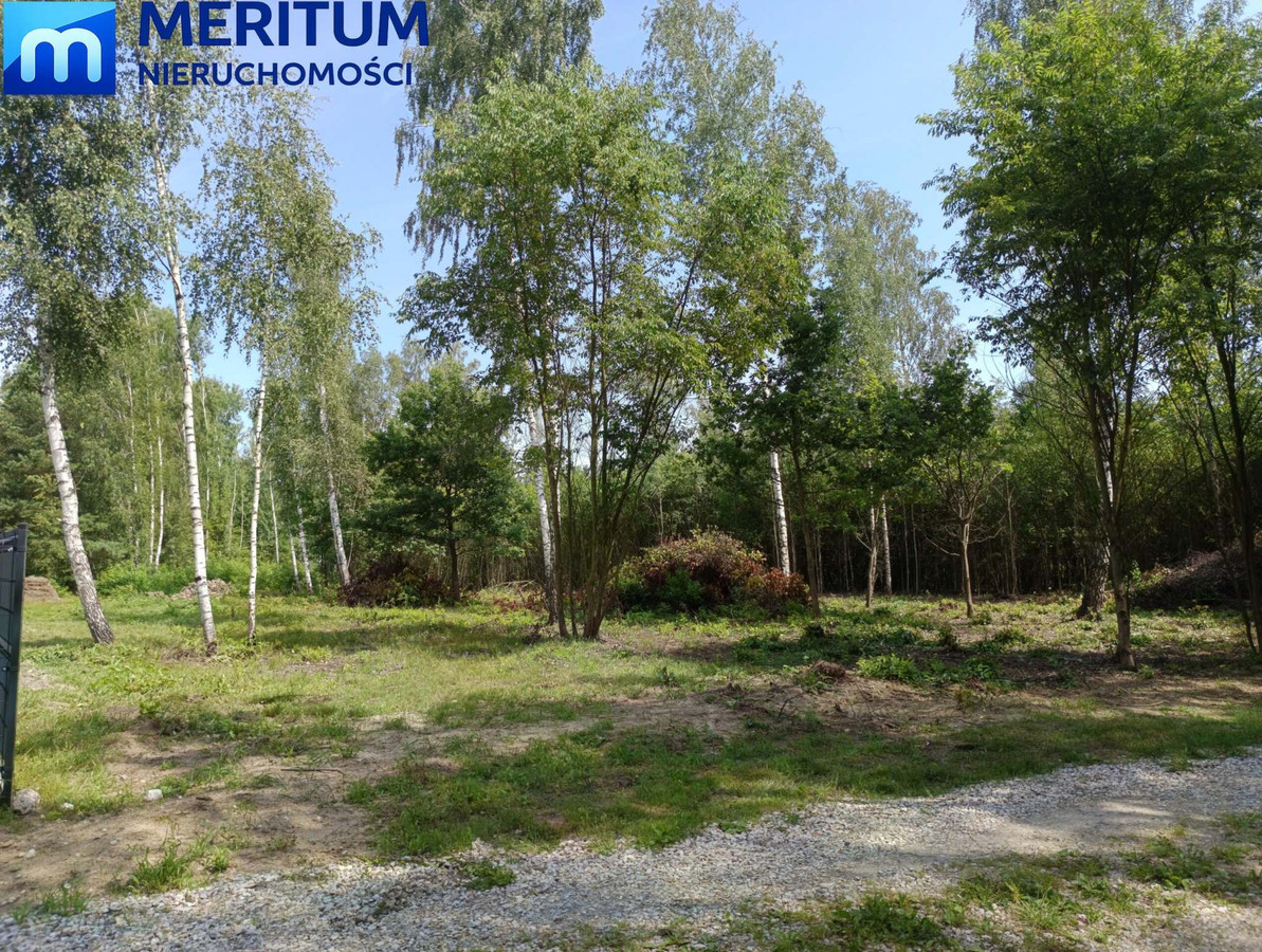 Działka budowlana 1500 m² | Szczęsne - Widok 2