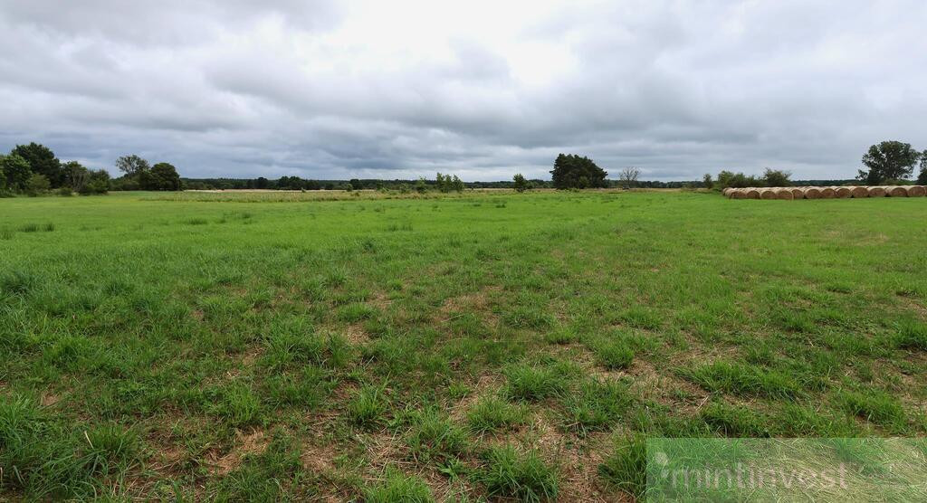 Działka rolna 4,86 ha ŻARNOWO - Widok 3