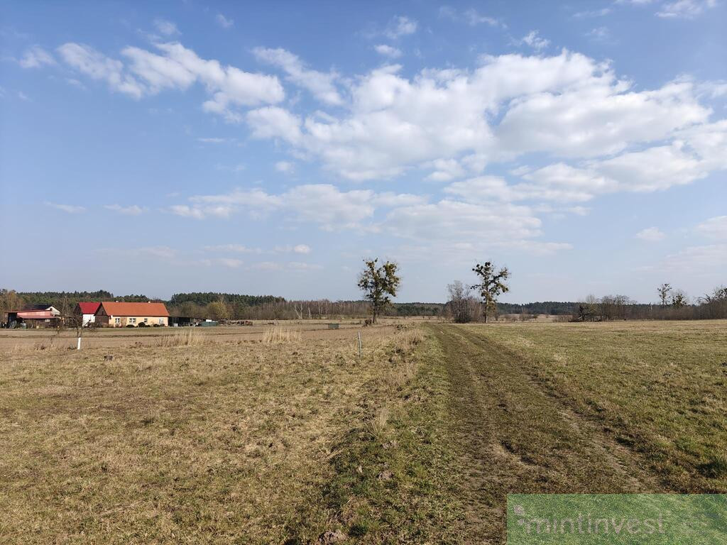 Działka budowlana Żarnowo, gm. Stepnica z MPZP - Widok 2