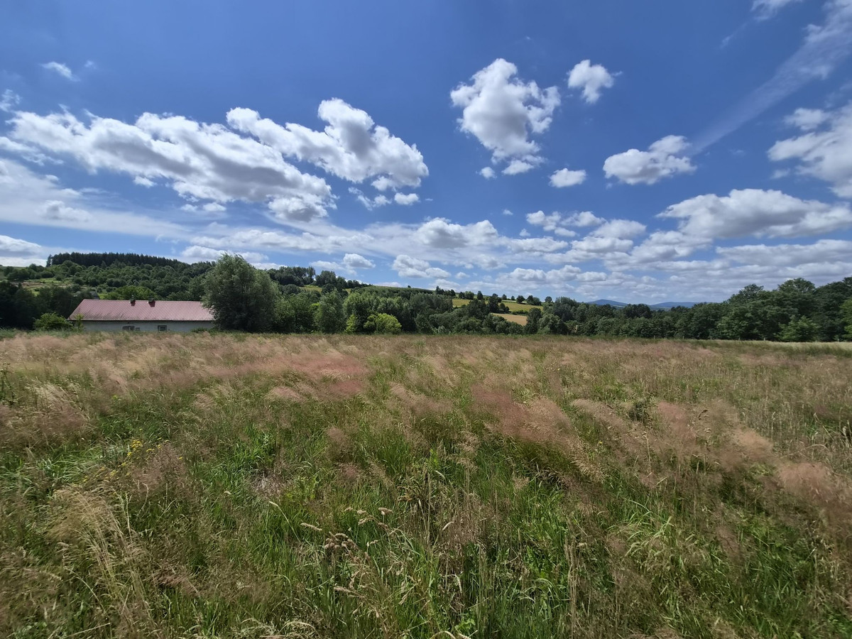 Brzezowa, gm. Łapanów - działki budowlane z ładnym widokiem - Widok 2