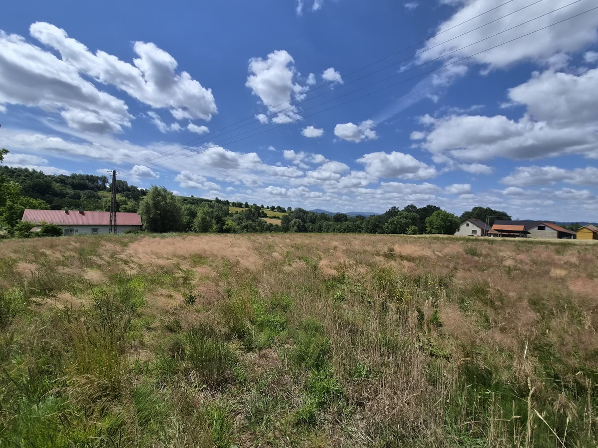 Brzezowa, gm. Łapanów - działki budowlane z ładnym widokiem - Więcej