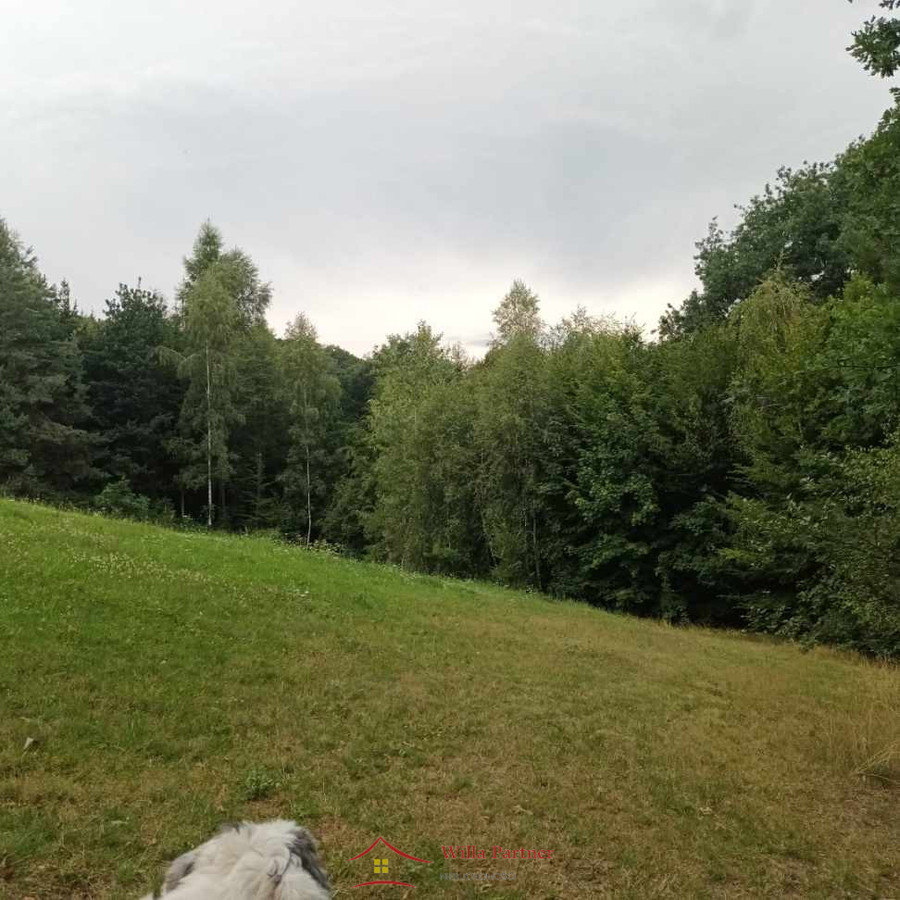 Sobolów, Wola Nieszkowska, działka 0,35ha+3a - Widok 2