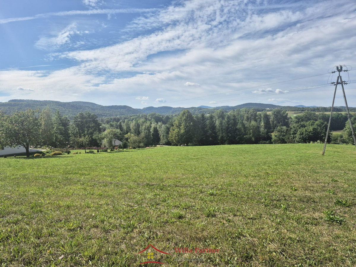 Łapanów, Tarnawa działka budowlano-usługowa 24a - Widok 2