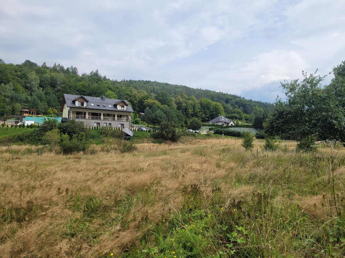 góry, narty i natura w zasięgu ręki - Widok 3