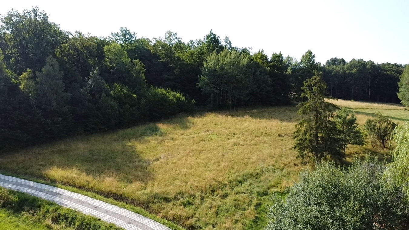 Działka widokowa w otulinie lasu, zainwestuj w najprężniej rozwijającej się - Widok 2
