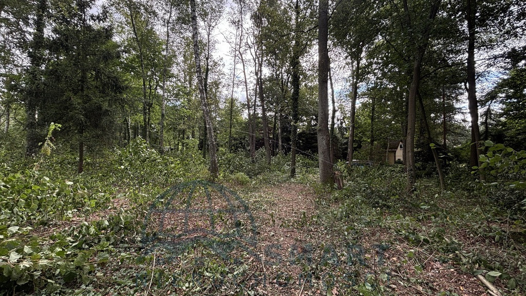 Idealna działka pod dom - Widok 4