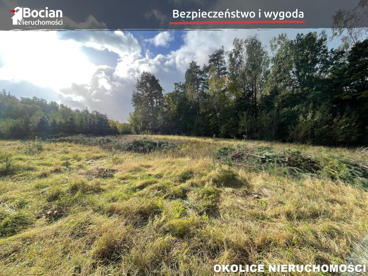 Zaciszne działki z własnymi drzewami -Kleszczewie - Widok 3